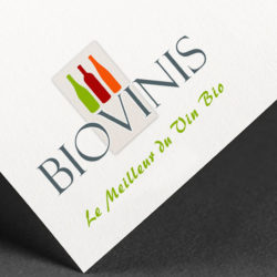 création de logo pour site web par graficjooz