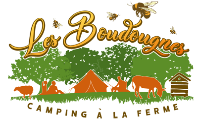 Création du Logo camping les boudougnes vaucluse
