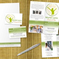 Création identité visuelle Vaucluse by graficjooz